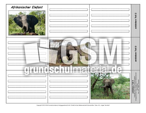 Leporello-Afrikanischer-Elefant-2-1-2.pdf